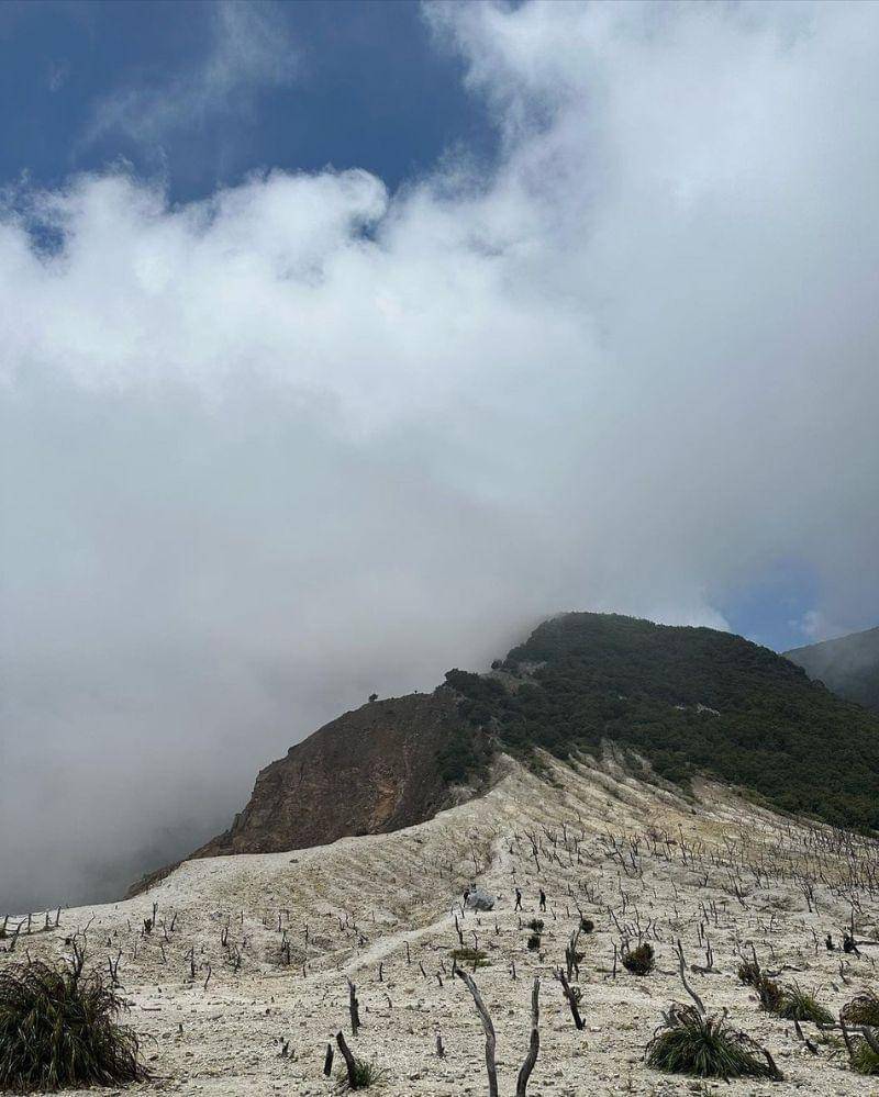 Instagram.com/cndyhartono